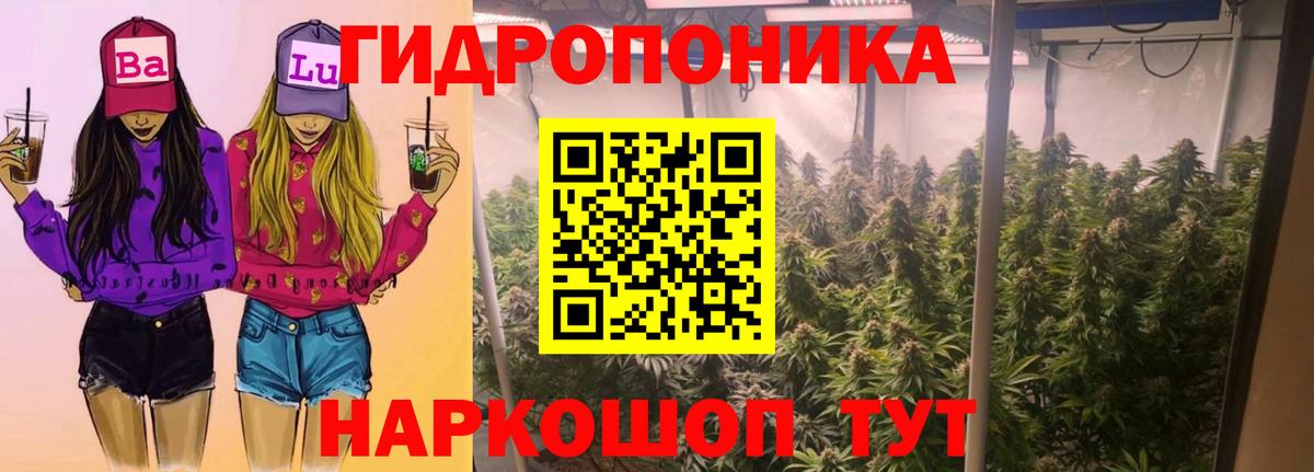 Бошки Шишки SATIVA & INDICA  Каннабис конопля  Тулун  Каннабис Bruce Banner  Вход с VPN 